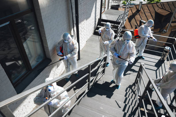 Best Basement Mold Removal  in Eastover, NC