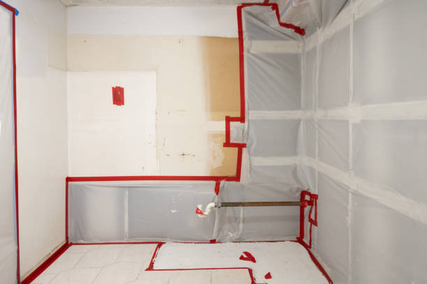 Best Comprehensive Air Testing for Mold Contaminants  in Eastover, NC