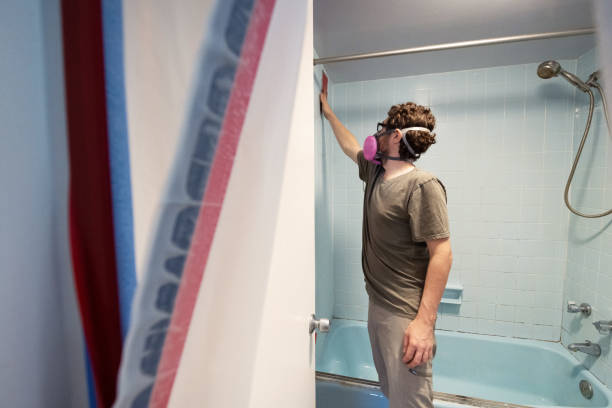 Eastover, NC Mold Removal Company