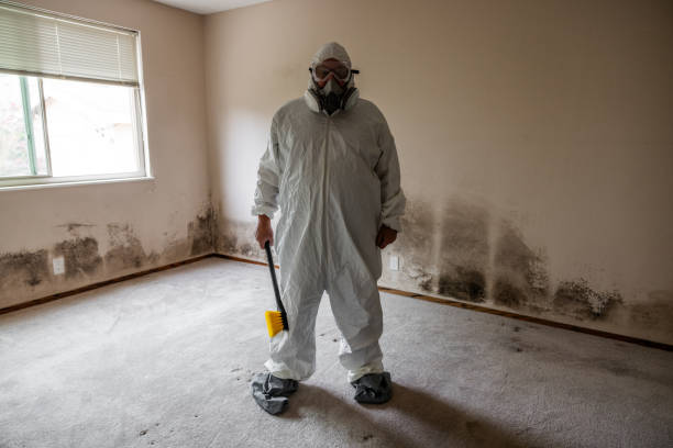 Best Asbestos and Lead Testing During Mold Inspection  in Eastover, NC